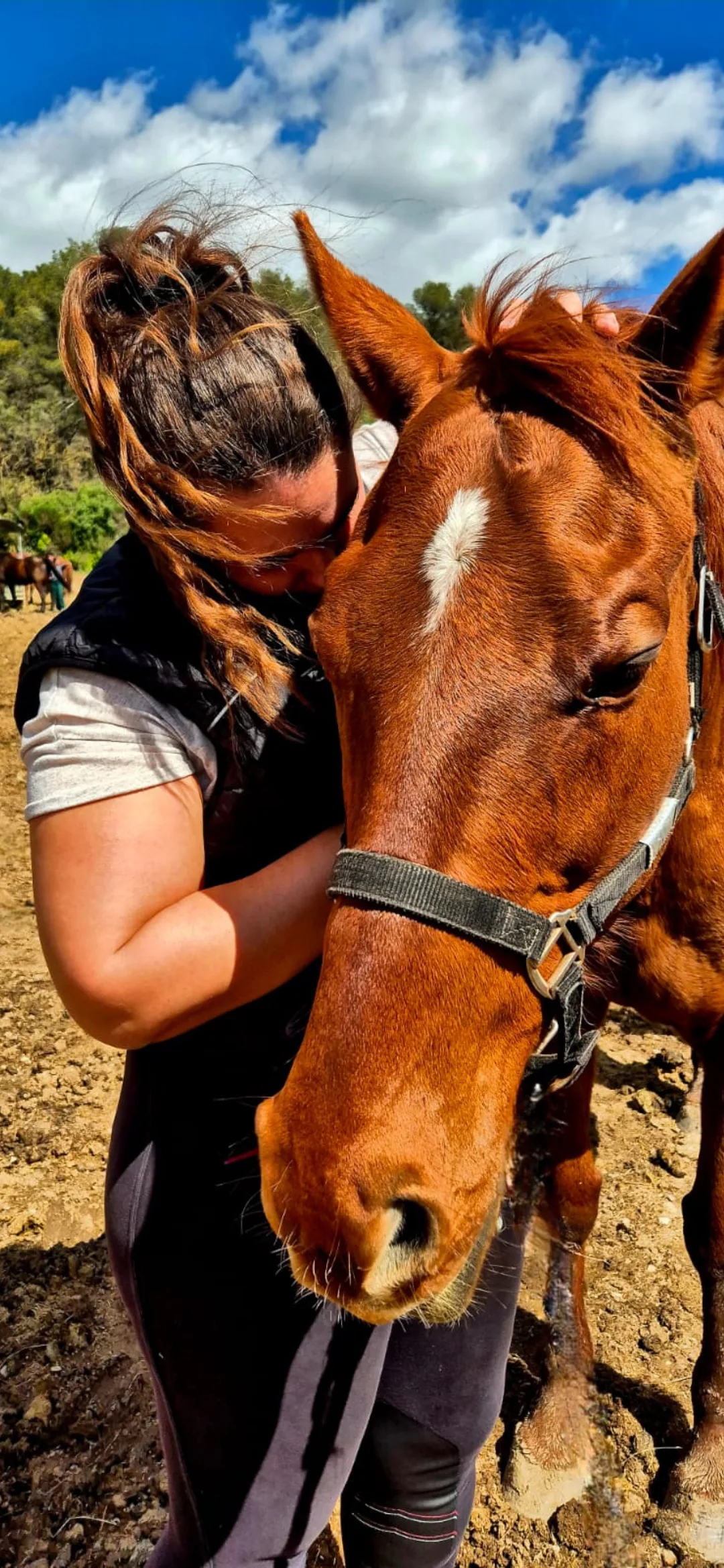 Séance d'ostéopathie sur un cheval